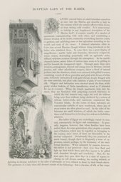 ‘Egyptian Lady in the Harém’